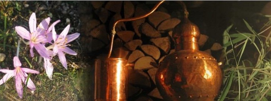 huiles essentielles Tinos